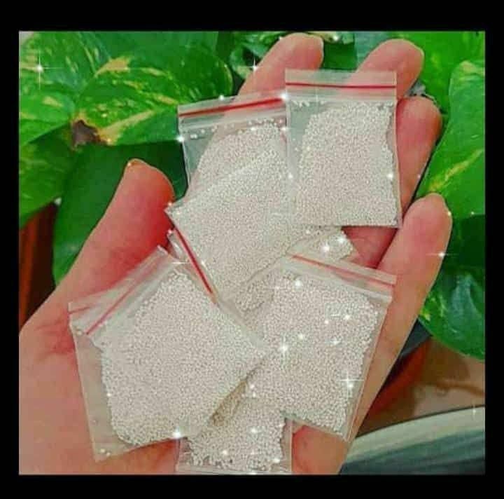 پودر شپش