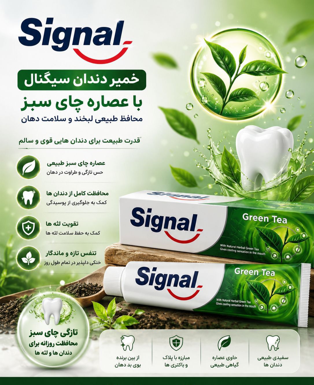 خمیر دندان Signal اصلی ویتنام